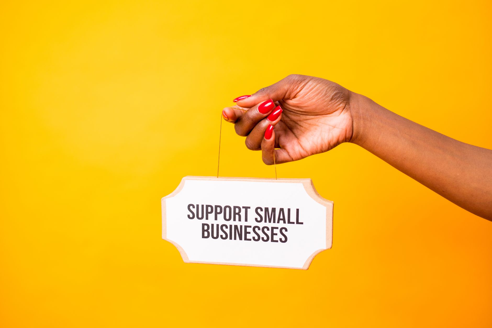 Five Reasons Small Businesses Choose C# for Custom Software (Photo: RDNE Stock project / Pexels)