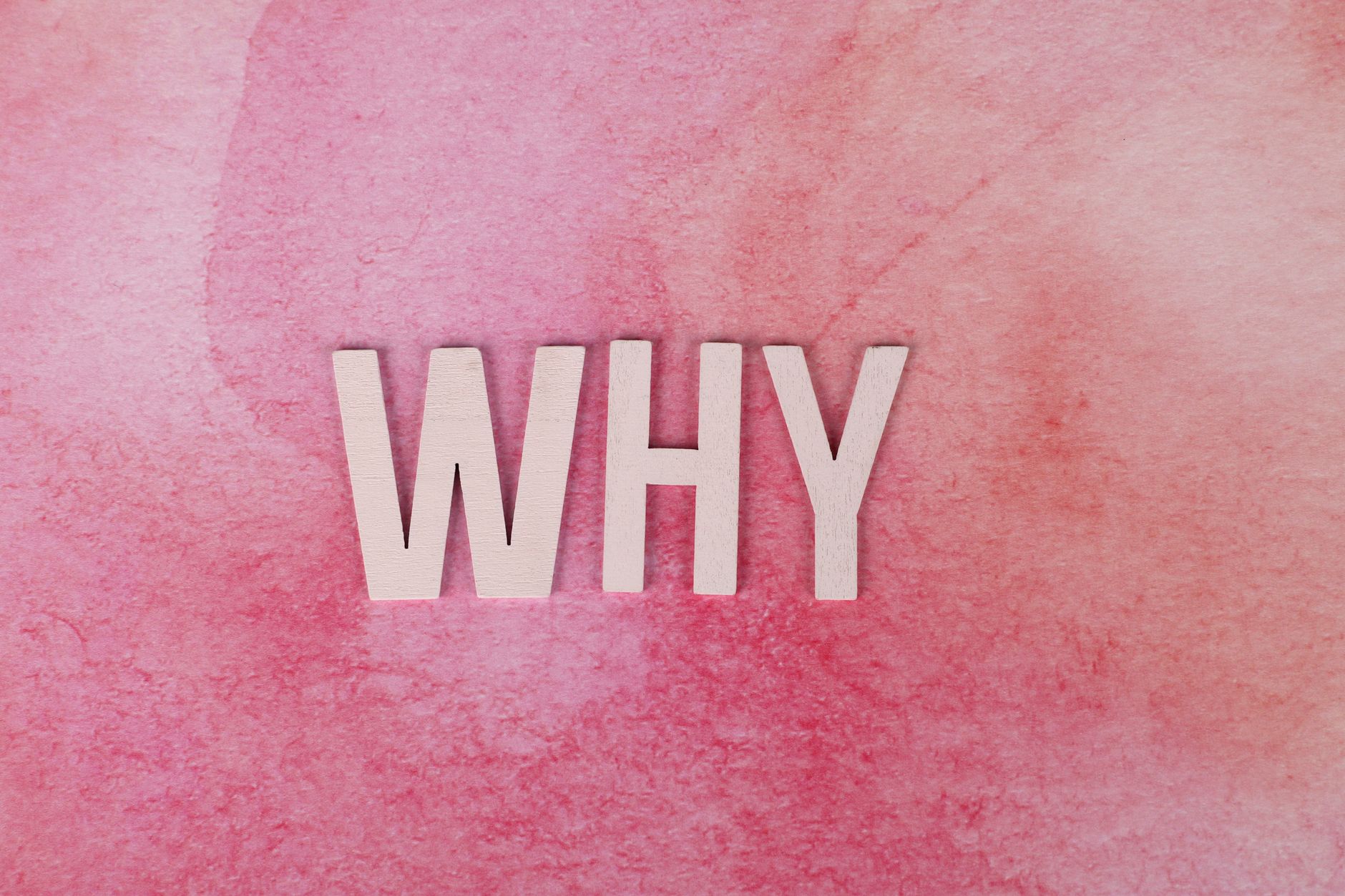 Why Should a Non-Technical Business Owner Even Consider This? (Photo: Ann H / Pexels)