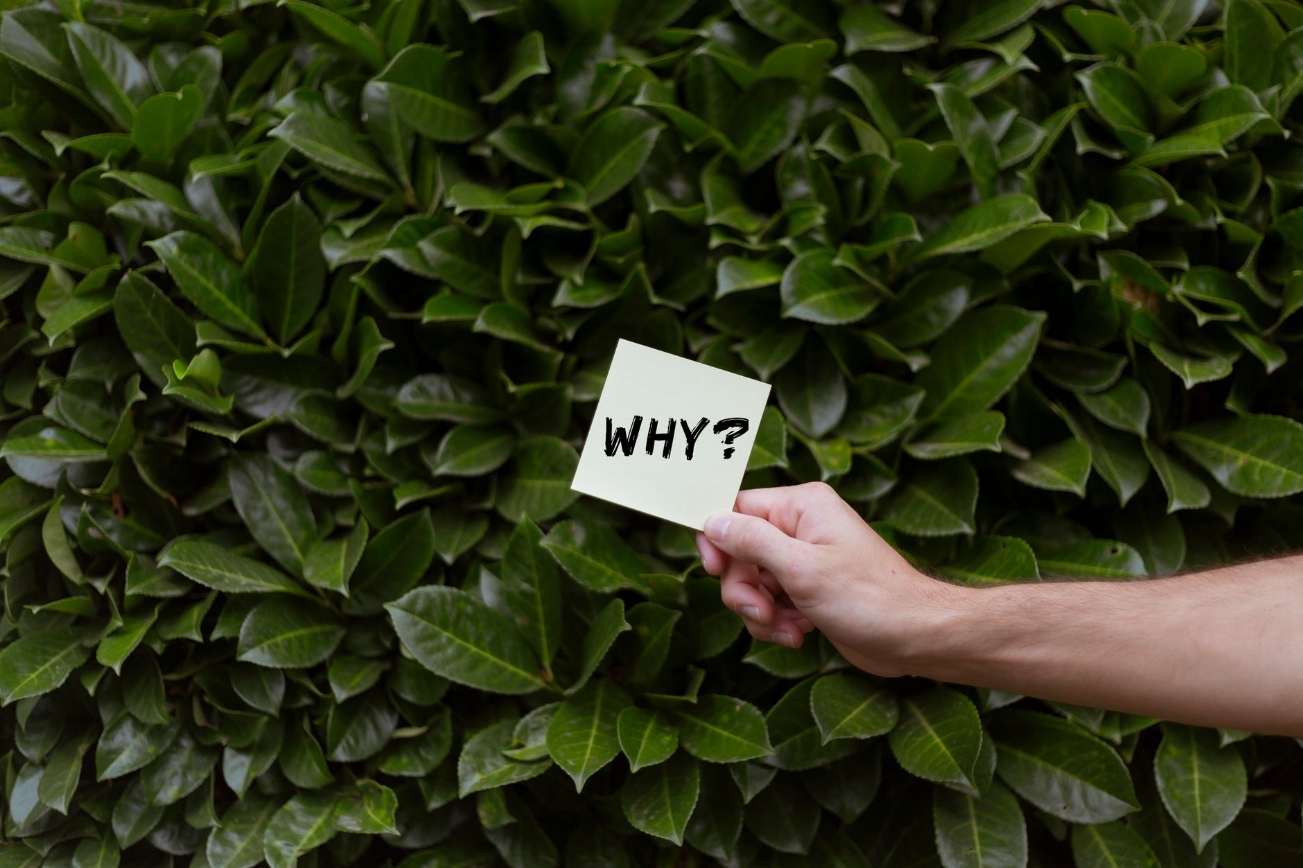 Why Does Website Environment Consistency Matter for Your Business? (Photo: Image Hunter / Pexels)
