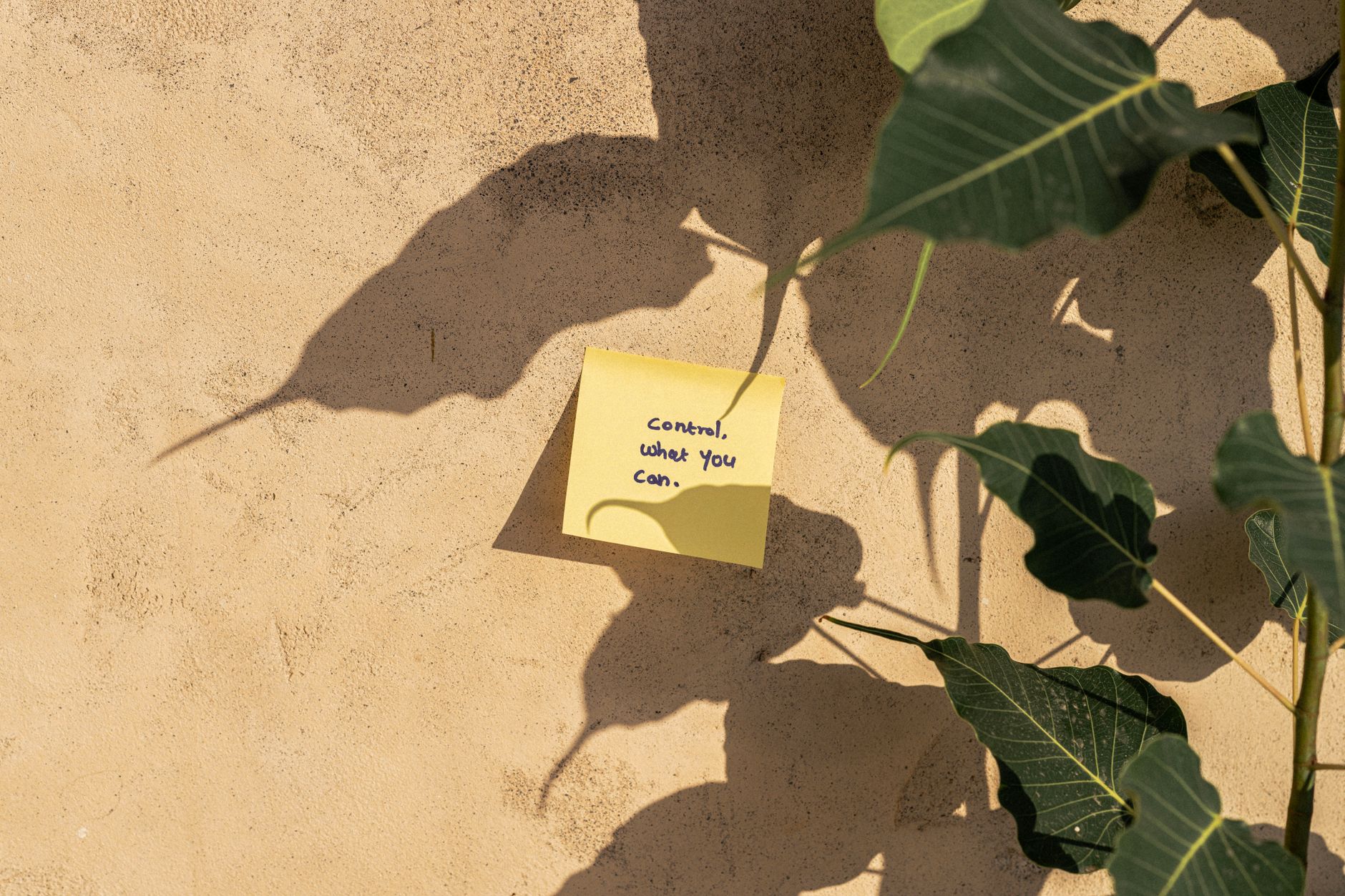 What to Actually Post: Facebook Content Ideas for Small Business Owners (Photo: aboodi vesakaran / Pexels)